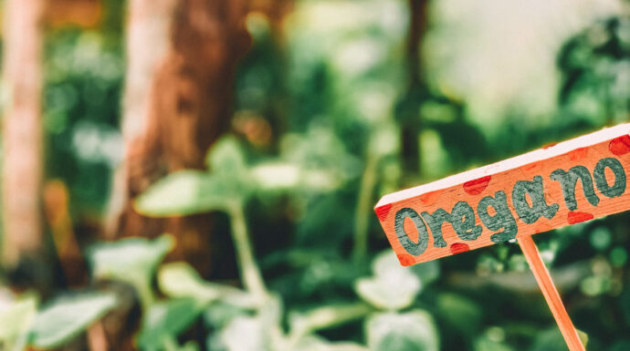 The Cold, The Flu, and The Gut