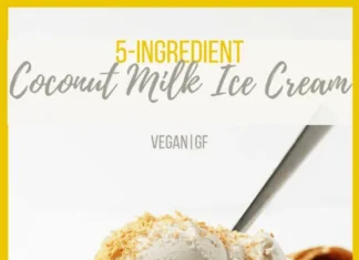 Homemade Dairy-Free Coconut Ice Cream Recipes for a Refreshing Treat