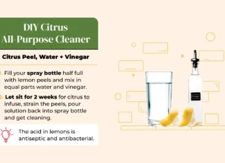 Eco Cleaning Hacks for Removing Stubborn Kitchen Grease Using Non-Toxic Ingredients