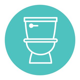 toilet